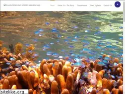 Sites similar to kuruwitukenya.org