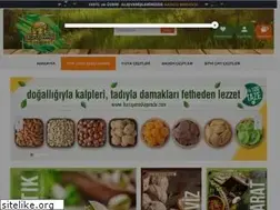 Sites similar to kuruyemiskapimda.com