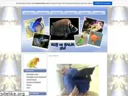 Sites similar to kusbalikevi.tr.gg