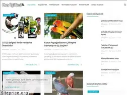 Sites similar to kusegitimi.com