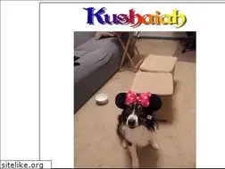 Sites similar to kushaiah.com