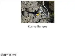 Sites similar to kushmabungee.com