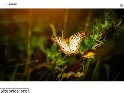 Sites similar to kutahyahaliyikama.net