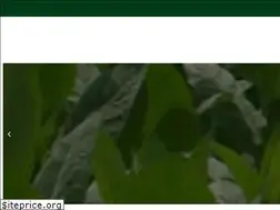 Sites similar to kutsaga.co.zw