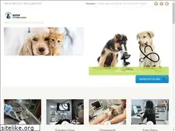 Sites similar to kutupvet.com