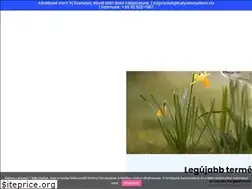 Sites similar to kutyakenyelem.hu