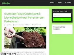 Sites similar to kuyahejo.com