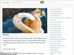Sites similar to kuyruk.gen.tr
