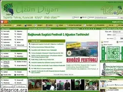 Sites similar to kuyucakkasabasi.com