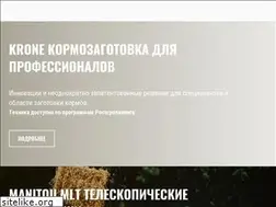 Sites similar to kuznitsa.ru
