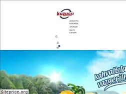 Sites similar to kuzucusuturunleri.com