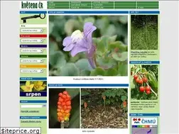 Sites similar to kvetenacr.cz