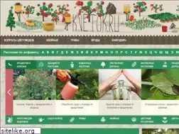 Sites similar to kvetok.ru