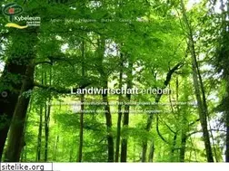 Sites similar to kybeleum.at