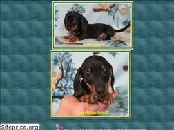 Sites similar to kylanekennel.com