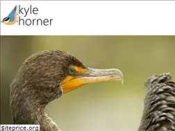 Sites similar to kylehorner.com