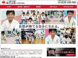 Sites similar to kyokushinkarate.net