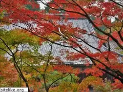 Sites similar to kyoto-shimizu.net