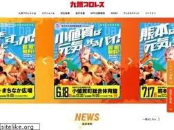 Sites similar to kyushu-pro-wrestling.com