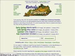 Sites similar to kywildflowers.org