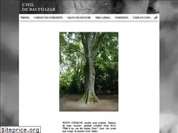 Sites similar to l-oeil-de-balthazar.com