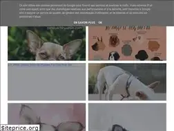 Sites similar to l2sanpiero.com