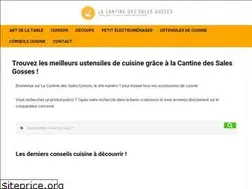 Sites similar to la-cantine-des-sales-gosses.com