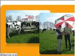 Sites similar to la-ferme-des-glaces.com
