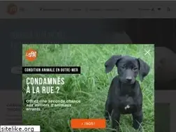Sites similar to la-spa.fr