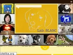 Sites similar to lab-blanc.com