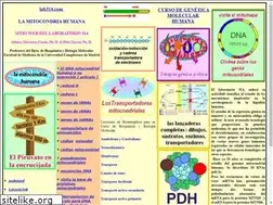 Sites similar to lab314.com