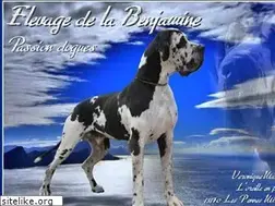 Sites similar to labenjamine.com