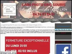 Sites similar to labo-gris-souris.com