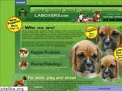 Sites similar to laboxers.com