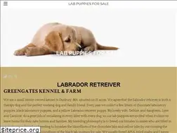 Sites similar to labpuppy.company.com