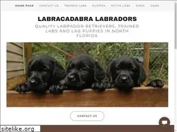 Sites similar to labracadabra.com