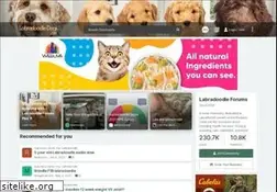 Sites similar to labradoodle-dogs.net