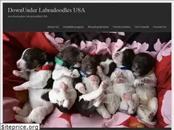 Sites similar to labradoodle.biz