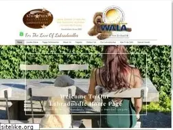 Sites similar to labradoodle.co.nz