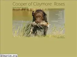 Sites similar to labrador-cooper.de