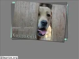 Sites similar to labrador-kociokwik.com