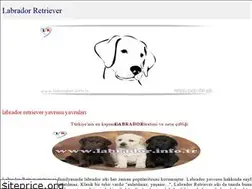 Sites similar to labrador.info.tr