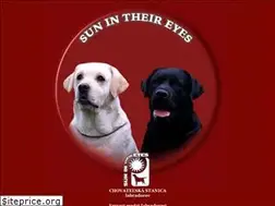 Sites similar to labrador.sk