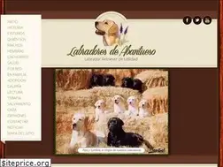 Sites similar to labradoresdeabantueso.com