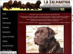Sites similar to labradoresdelasalmantina.com
