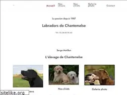 Sites similar to labradors-dog.com