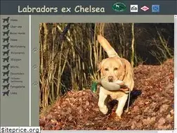 Sites similar to labradors-ex-chelsea.de