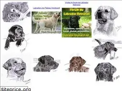 Sites similar to labradors-retrievers.net