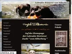 Sites similar to labradorvomsilberberg.de