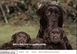 Sites similar to labradorzucht-wellingtons.de